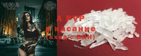 ГАЛЛЮЦИНОГЕННЫЕ ГРИБЫ Баксан