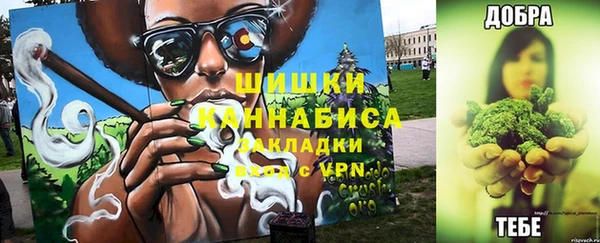 ГАЛЛЮЦИНОГЕННЫЕ ГРИБЫ Баксан