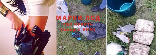 ГАЛЛЮЦИНОГЕННЫЕ ГРИБЫ Баксан