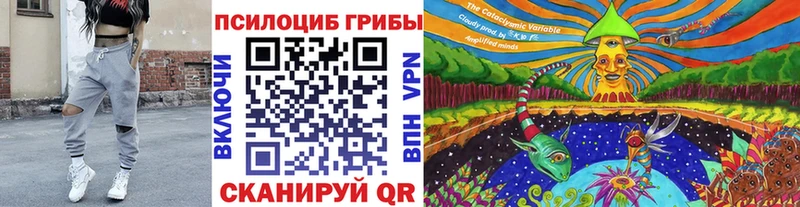 мега ССЫЛКА  Шумерля  Галлюциногенные грибы Cubensis 